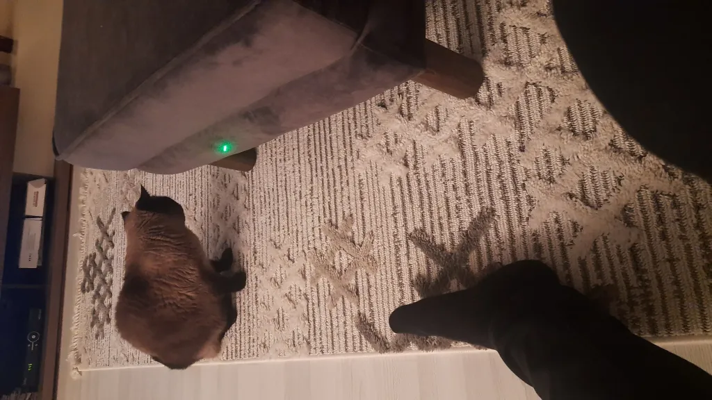 İlan Resmi - 683114e7b192e-large