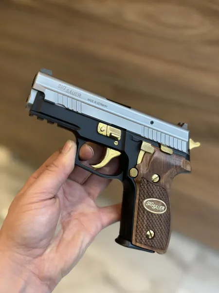 Sig Sauer P229 Two Tone