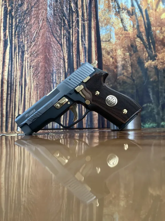 Sig Sauer P228 Özel Tasarim Two Tone - 5