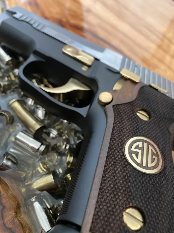 Sig Sauer P228 Özel Tasarim Two Tone - 3