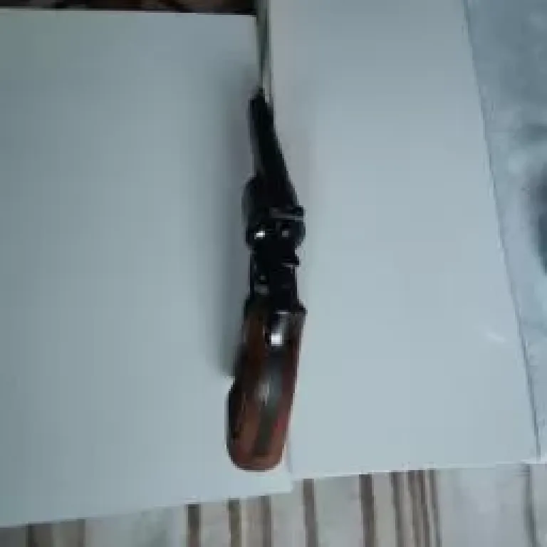 Sahibinden Taşima Rusatlı Fazla Mermı Atilmamış Temiz Kulanılmış Simth Wesoon Silah Serisi Orjinal Bayalı - 3