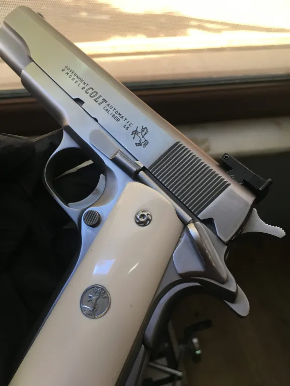 Colt Government 45Acp - 5