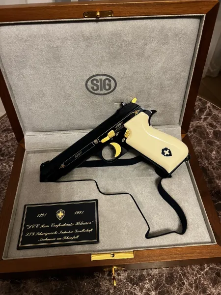 Si̇g Sauver Blue Helveti̇ca P210