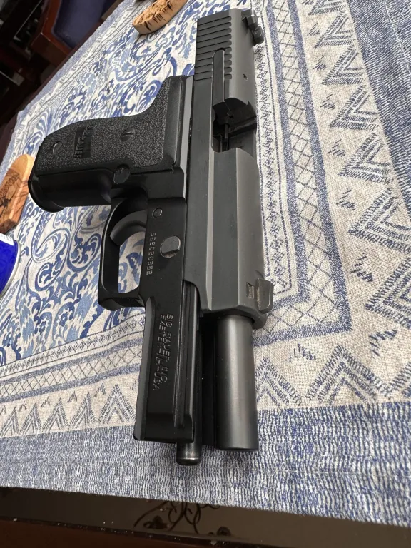 Sig Sauer P229 - 3