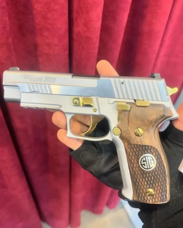 Sig Saure P226 Ve P229 - 4