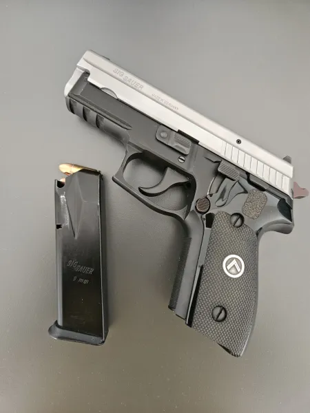 P229 Twotone Alman
