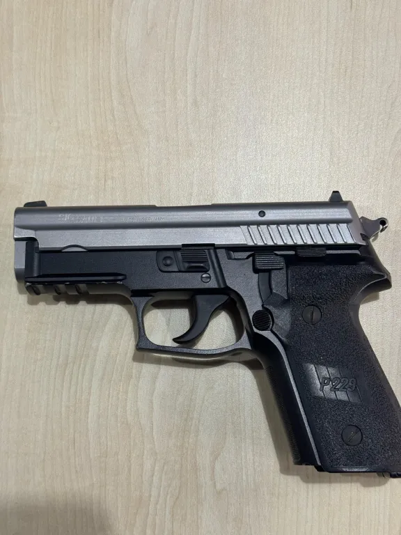 Si̇g Sauer P229 Two Tone