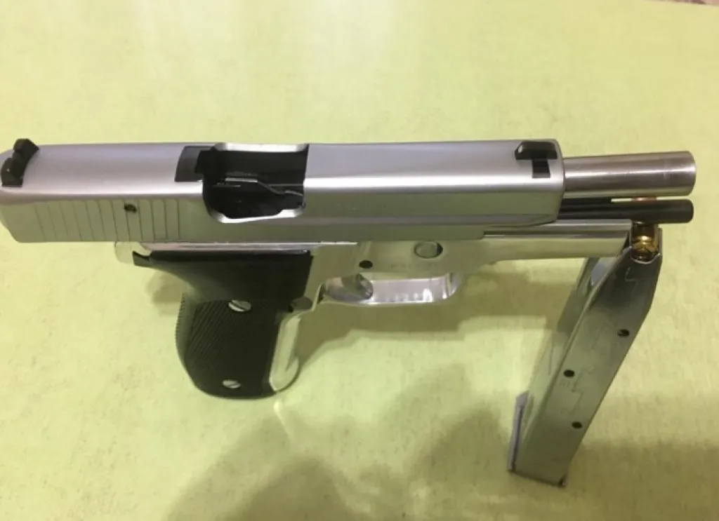 Temiz Sigsauer P226 - 3