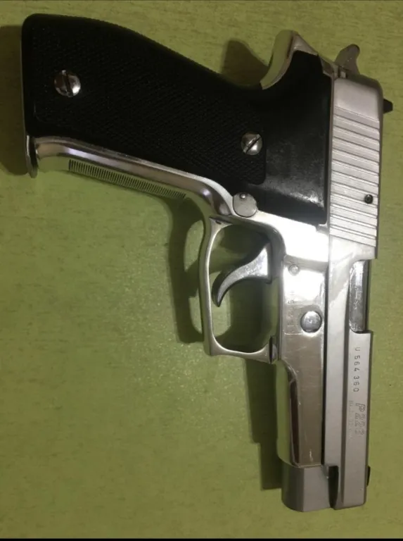 Temiz Sigsauer P226 - 2