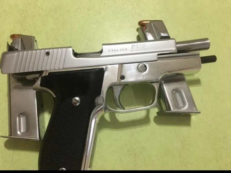 Temiz Sigsauer P226