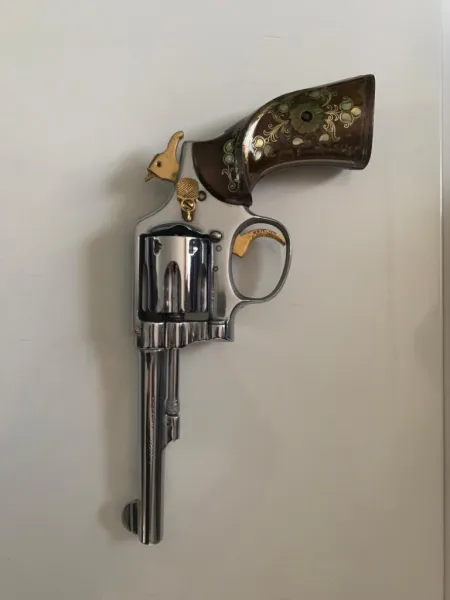 Emekli Kamu Personelinden Smith Wesson Silah