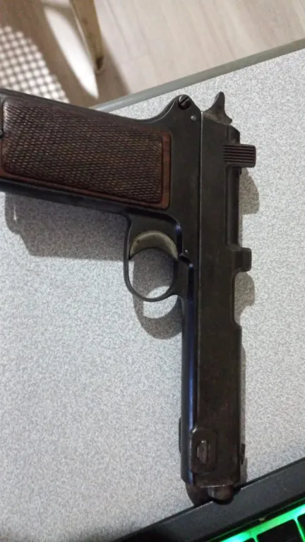 Steyr Hahn 1918 - 2