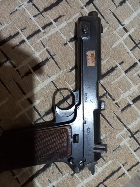 Steyr Hahn 1918