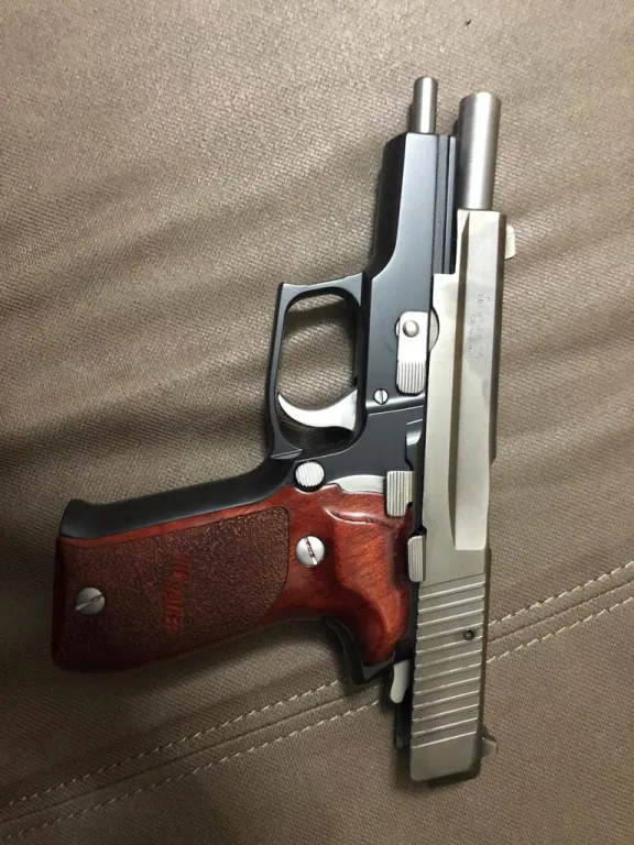 Sig P226 Platinium - 1