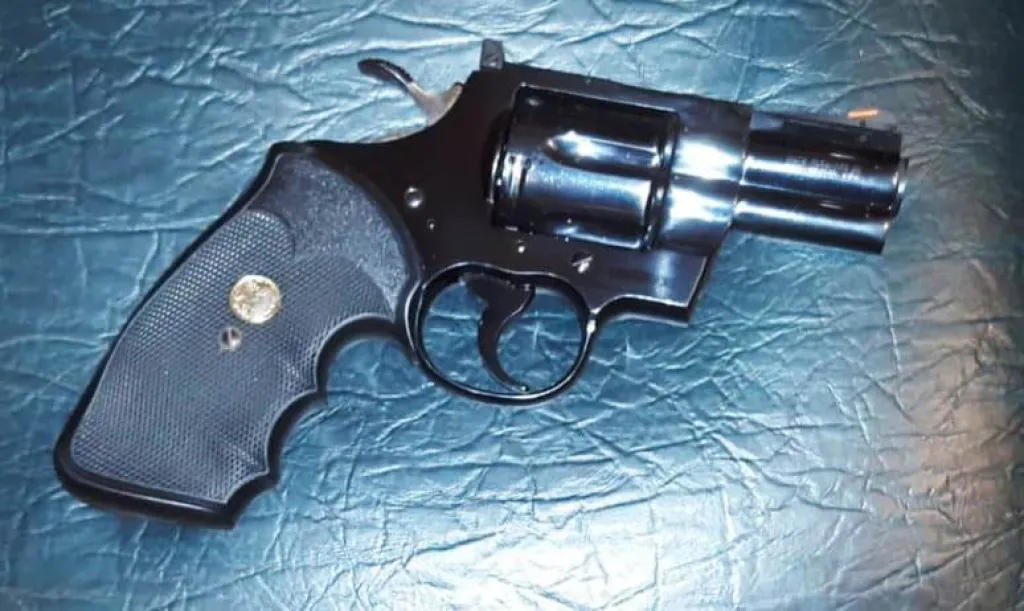 Colt Python Magnum 357 Siyah - 2