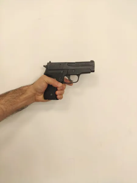 Sig Sauer P228