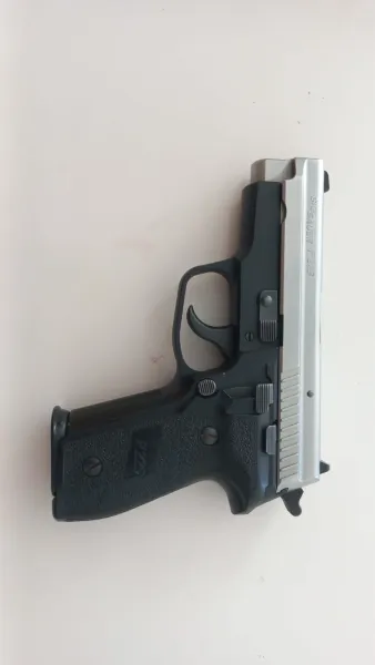 Sig Sauer P229