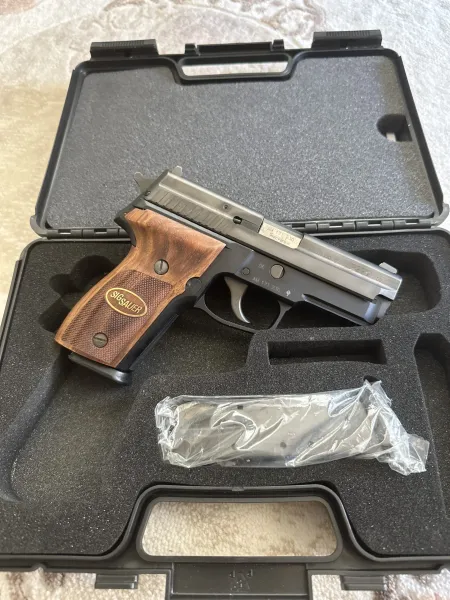 Kasada Unutulan Alman P229