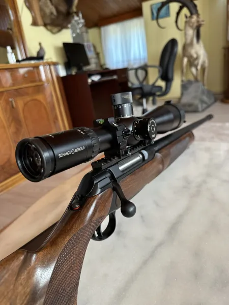 Sauer 202 Jachtmac 300Wi̇n Magnum Yi̇vli̇ Av Tüfeği̇