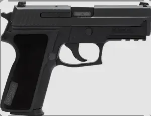 SIG SAUER P229 AMERİKAN