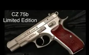 Önizleme 7