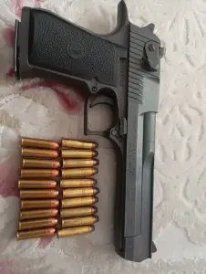 357 Desert Eagle