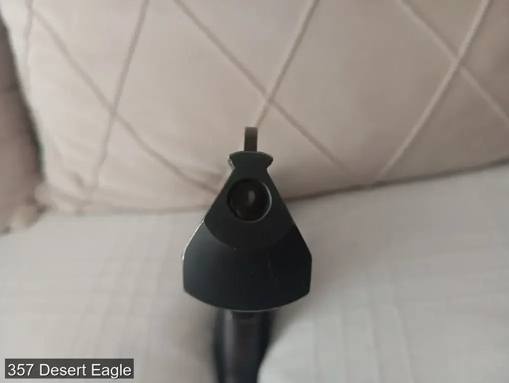 357 Desert Eagle - 4