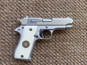 Star Bonifacio Echeverria