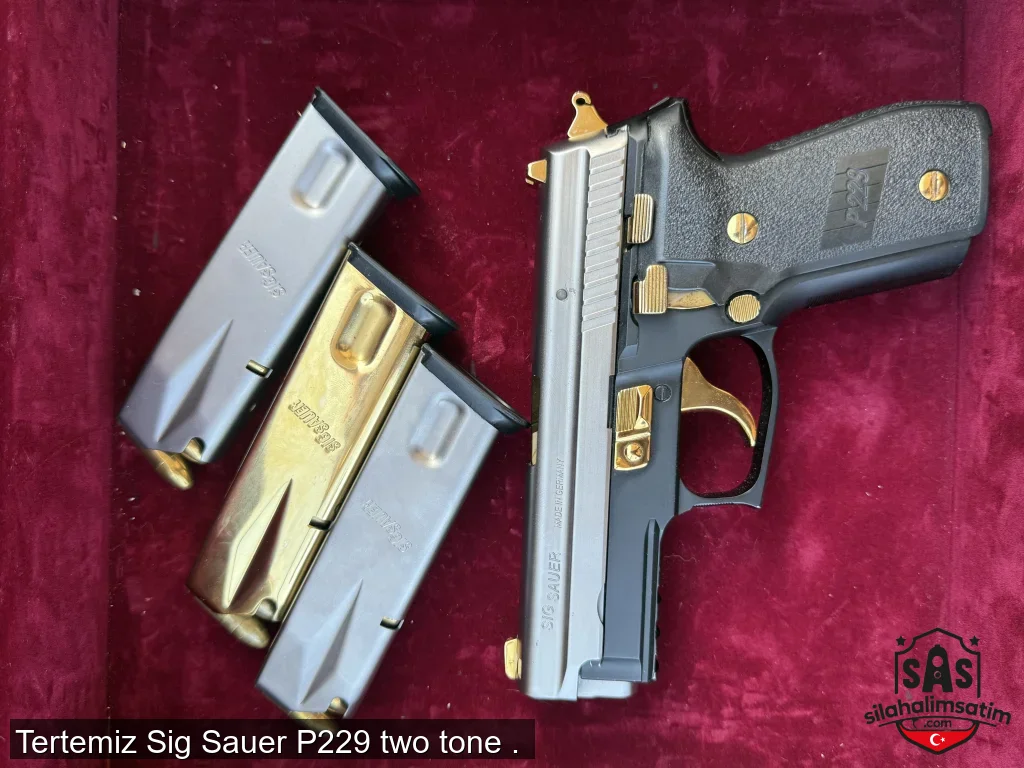 Tertemiz Sig Sauer P229 two tone . 
