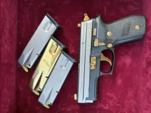 Tertemiz Sig Sauer P229 two tone . 