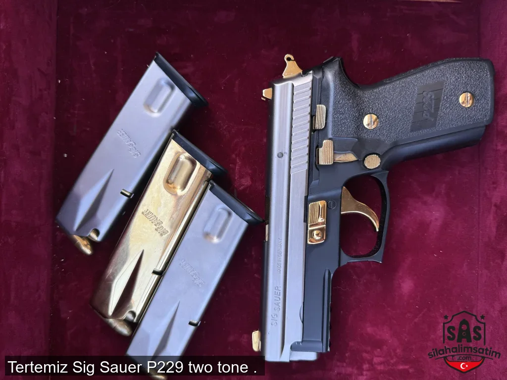 Tertemiz Sig Sauer P229 two tone .  - 2
