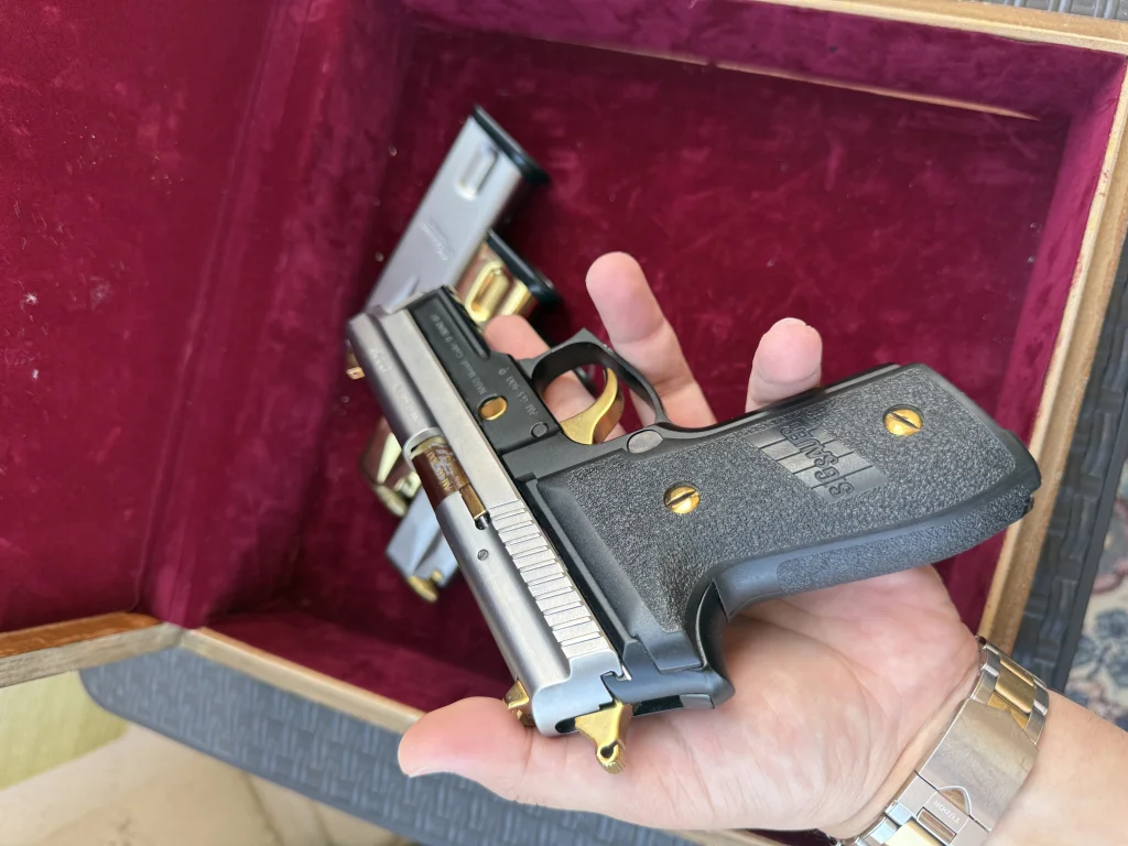 Tertemiz Sig Sauer P229 two tone .  - 6