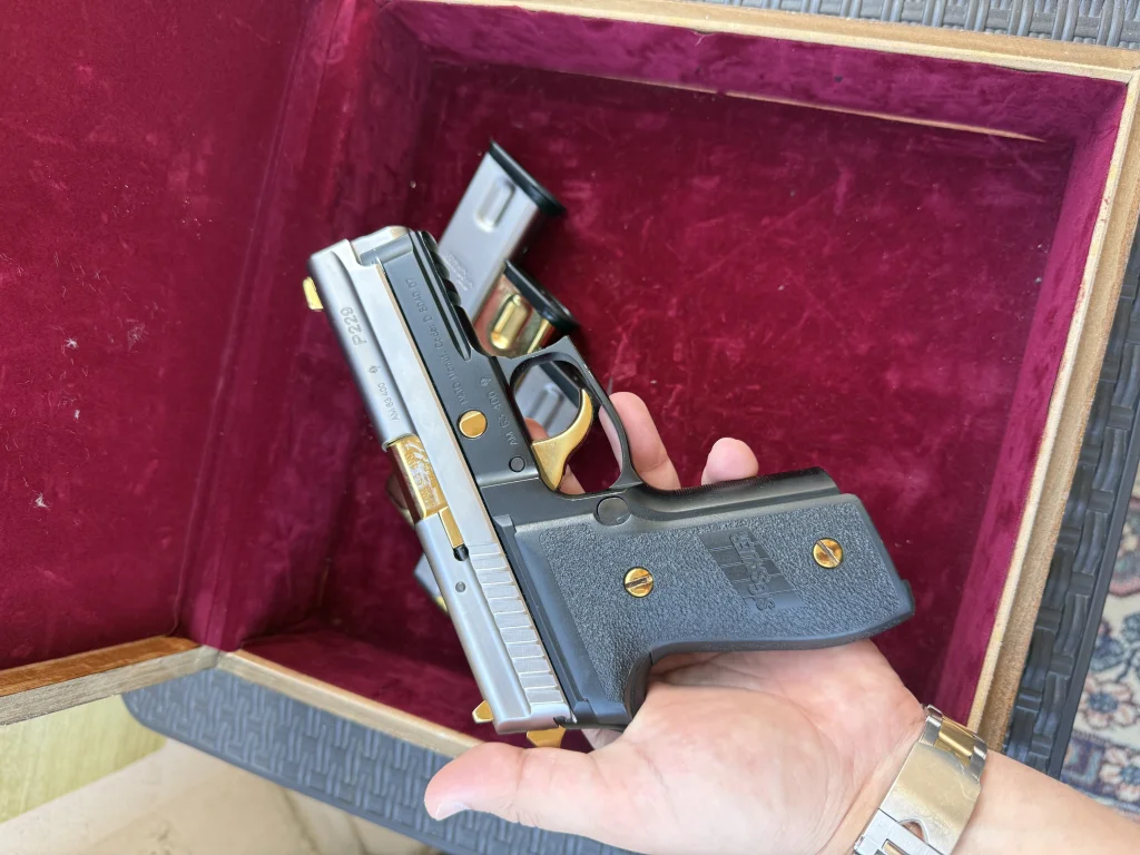 Tertemiz Sig Sauer P229 two tone .  - 7