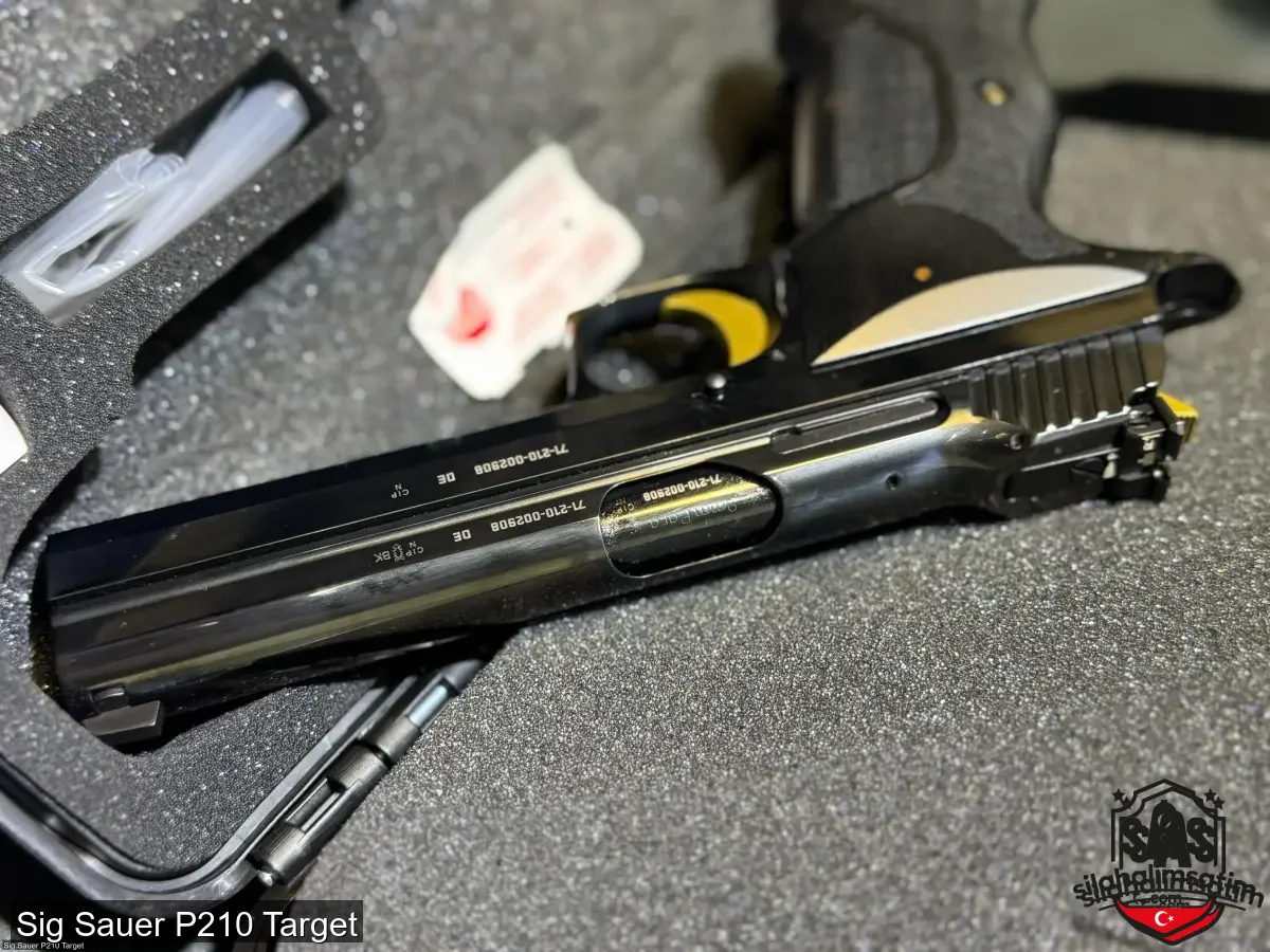 Sig Sauer P210 Target - 3