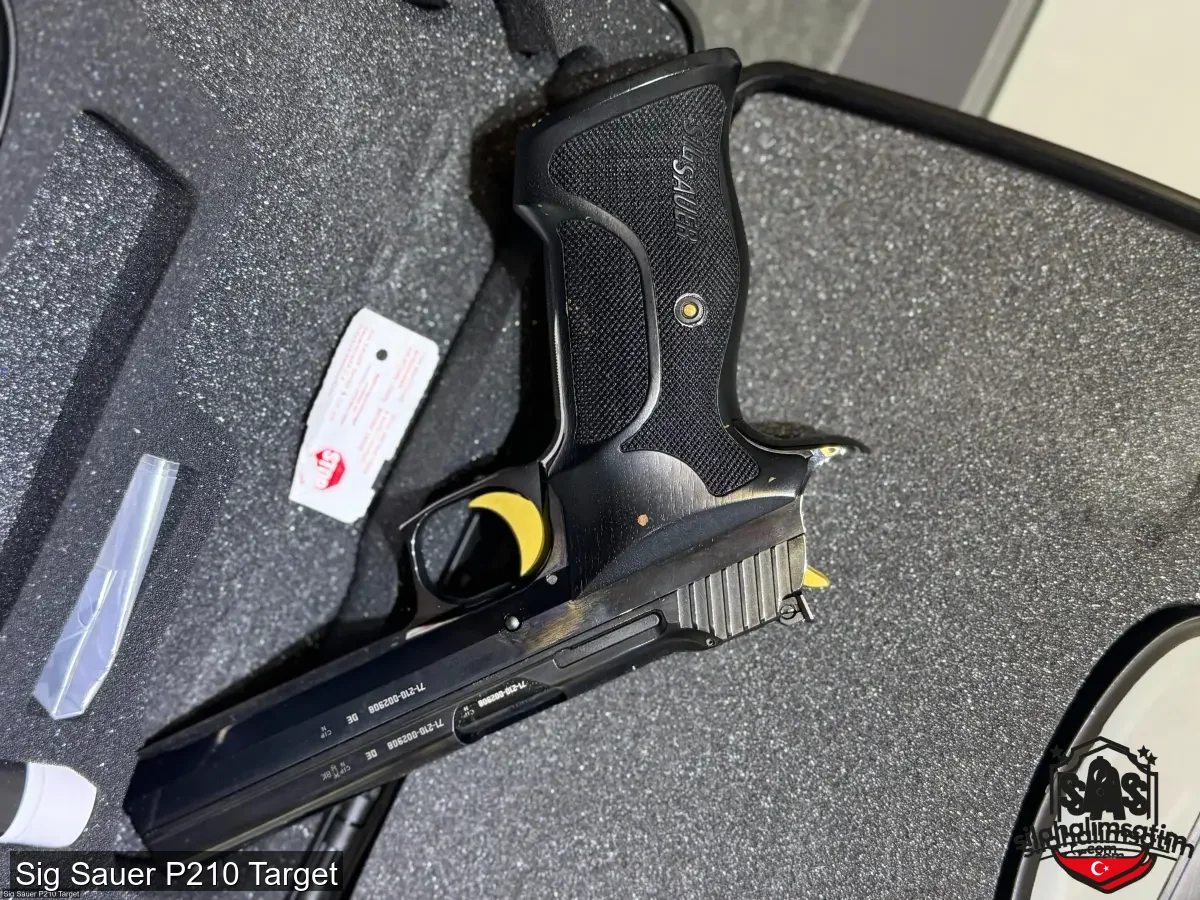 Sig Sauer P210 Target - 4