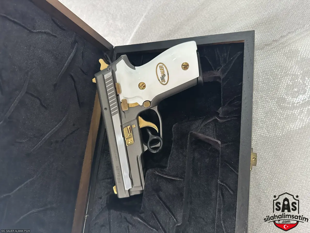 SIG SAUER ALMAN P229 - 2