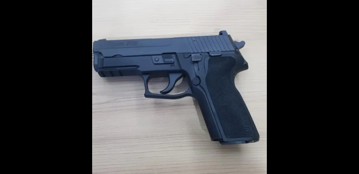 Sigsauer P229 - 6
