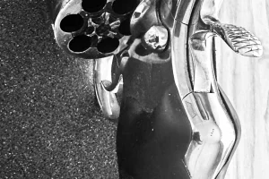 357 Magnum Colt Python - Colt Silah İlanı Resmi